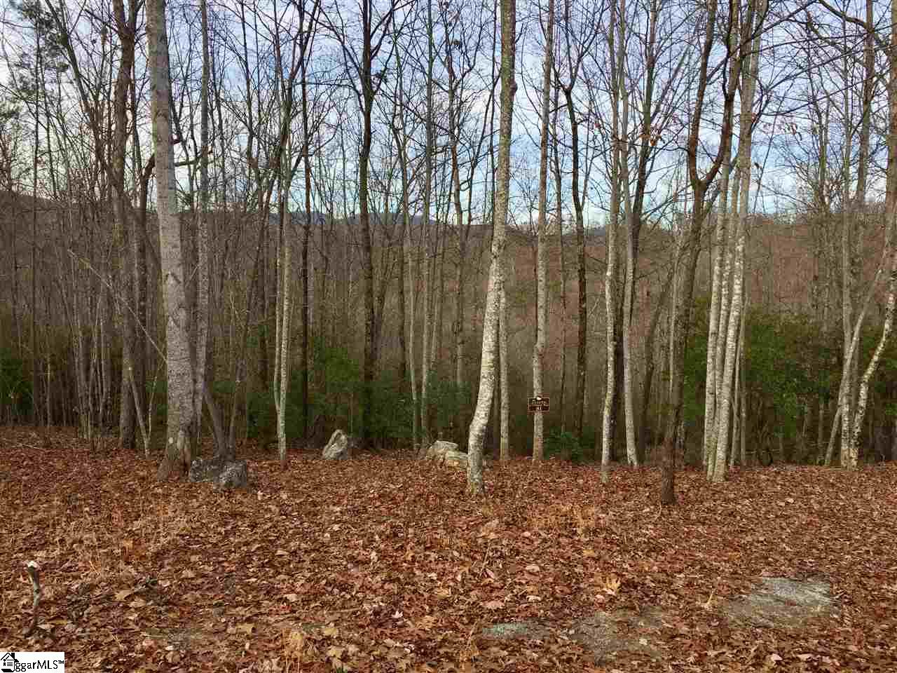 115 Carolina Wren Trail, Marietta, SC 29661