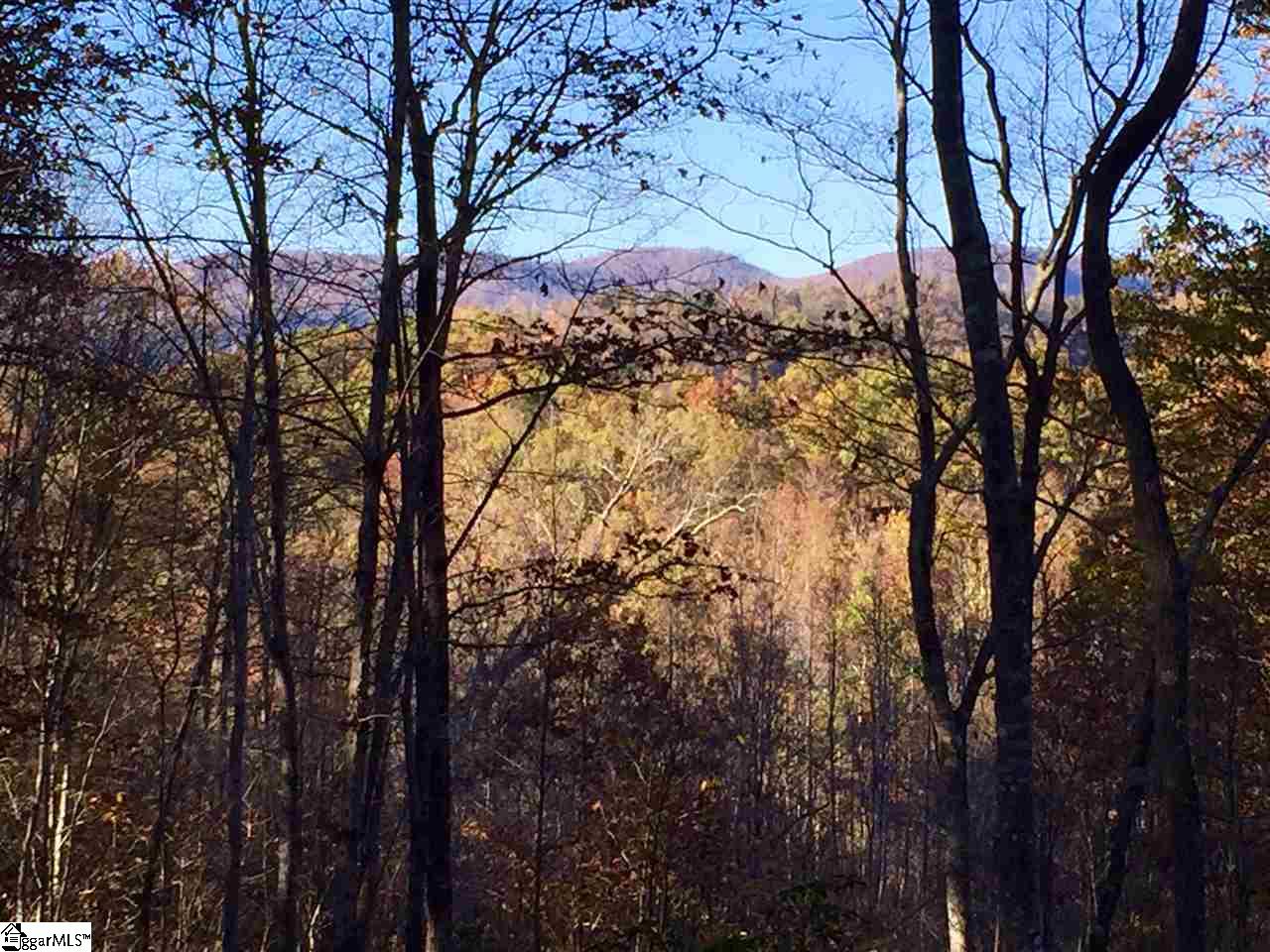 115 Carolina Wren Trail, Marietta, SC 29661