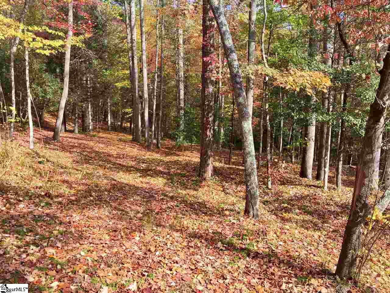 45 Green Wing Teal Way, Marietta, SC 29661