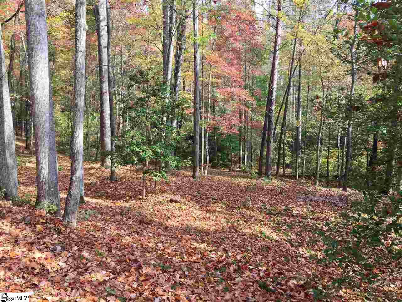 45 Green Wing Teal Way, Marietta, SC 29661