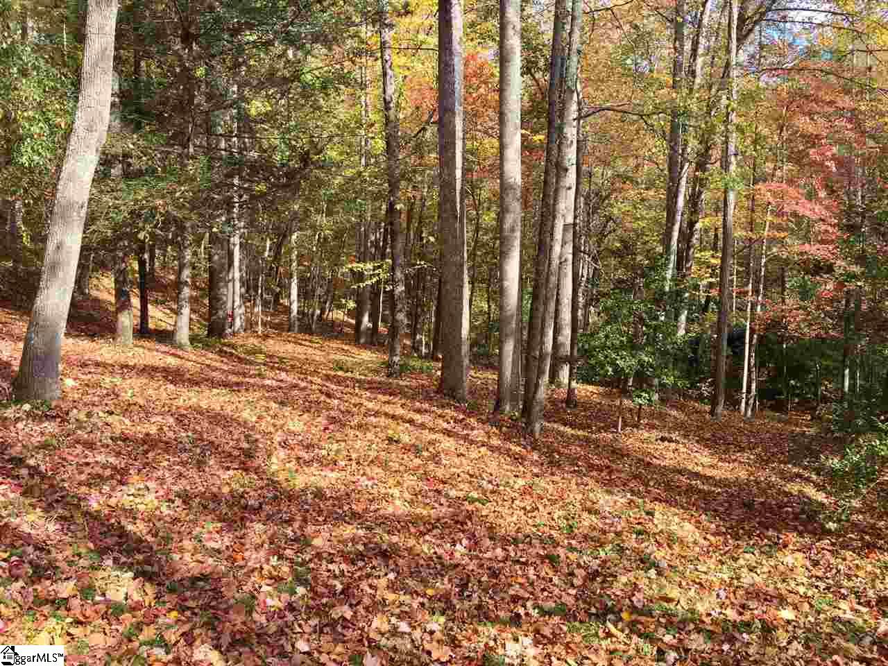 45 Green Wing Teal Way, Marietta, SC 29661