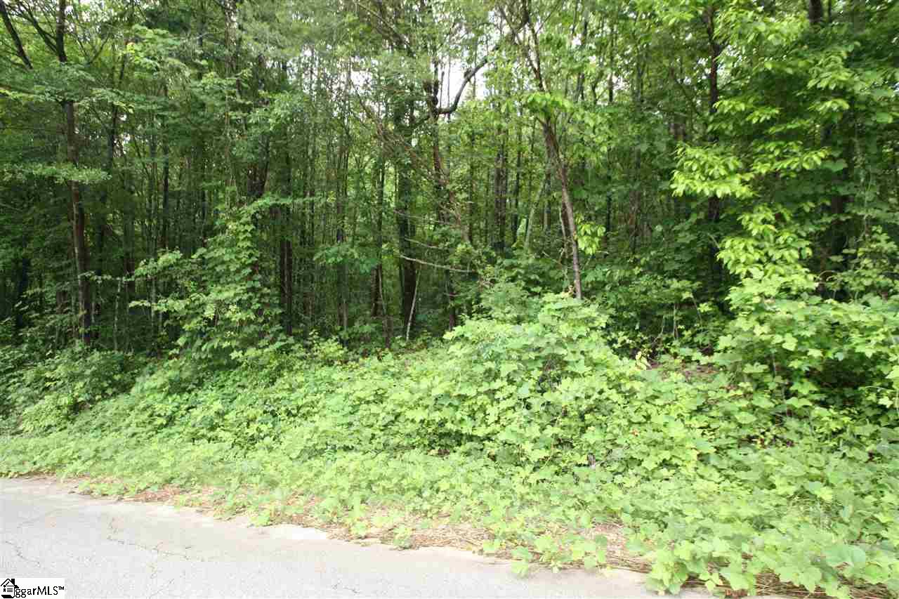 173 Landrum Creek Road, Marietta, SC 29661