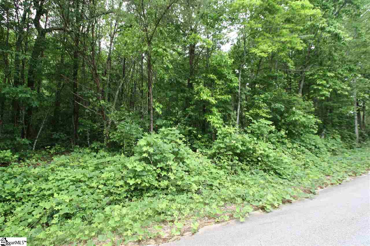173 Landrum Creek Road, Marietta, SC 29661