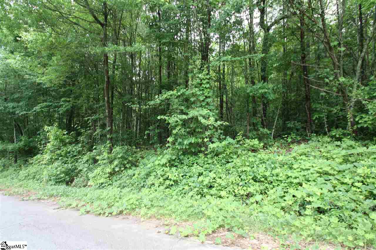 173 Landrum Creek Road, Marietta, SC 29661