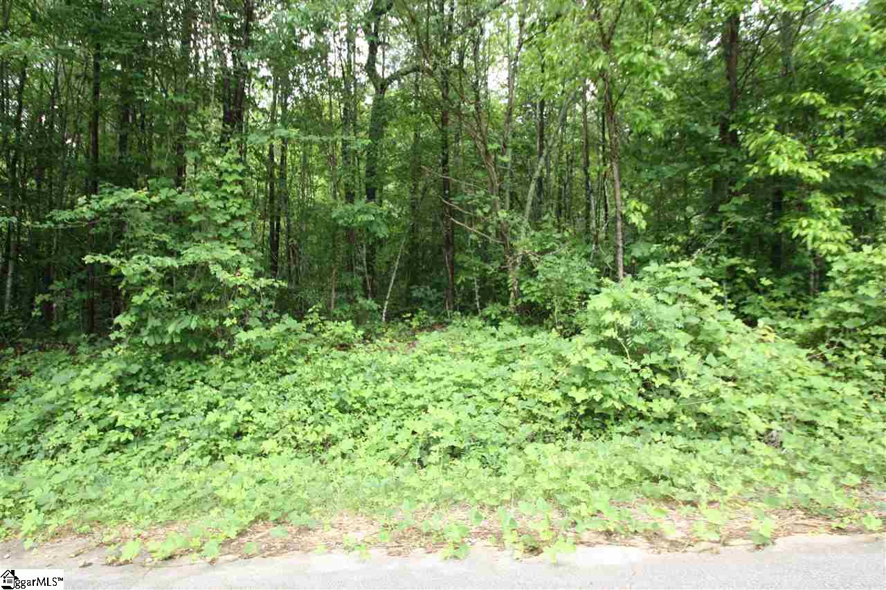 173 Landrum Creek Road, Marietta, SC 29661