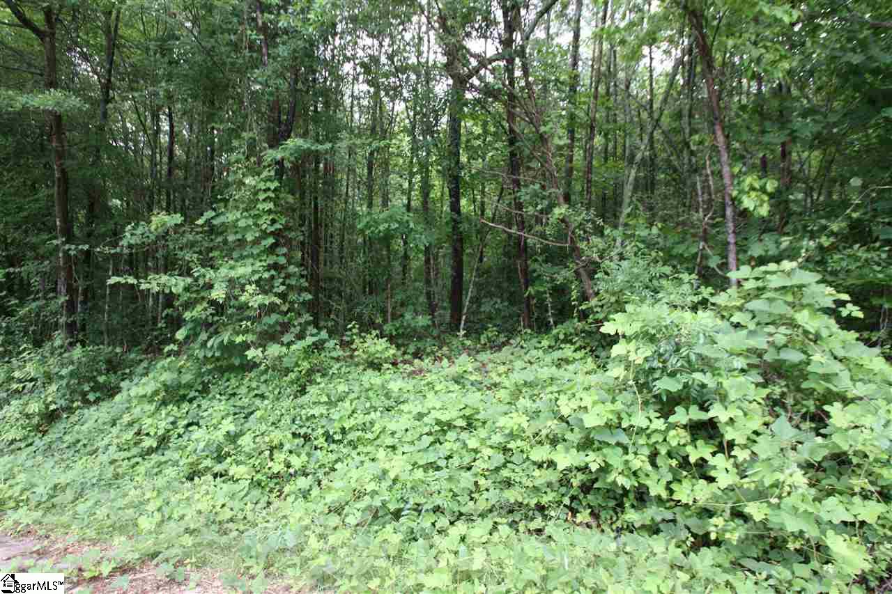 173 Landrum Creek Road, Marietta, SC 29661