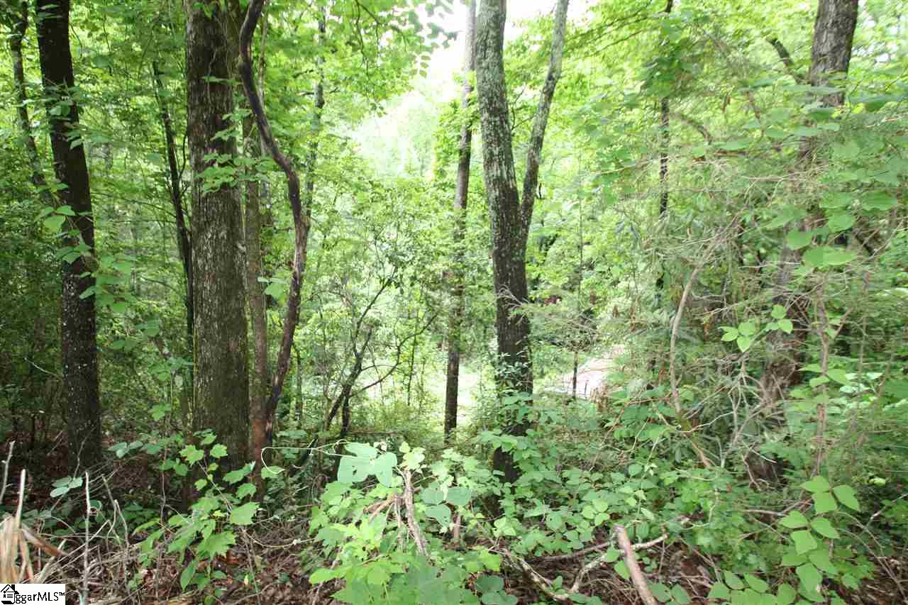 173 Landrum Creek Road, Marietta, SC 29661