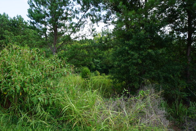 0 Smith St ext &amp; Joe Oulla, Ware Shoals, SC 29662