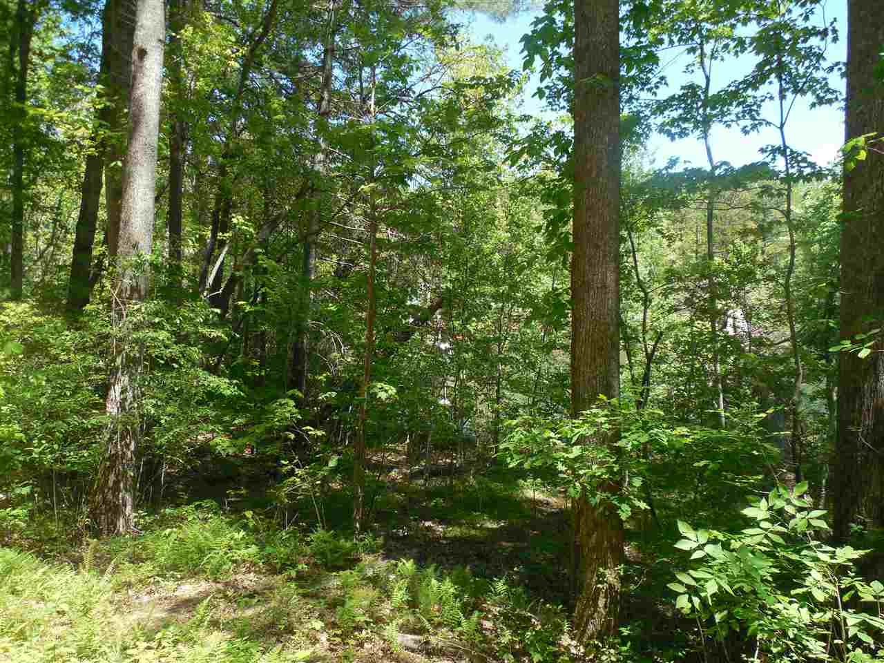 753Merganser Bay Dr, Mountain Rest, SC 29664