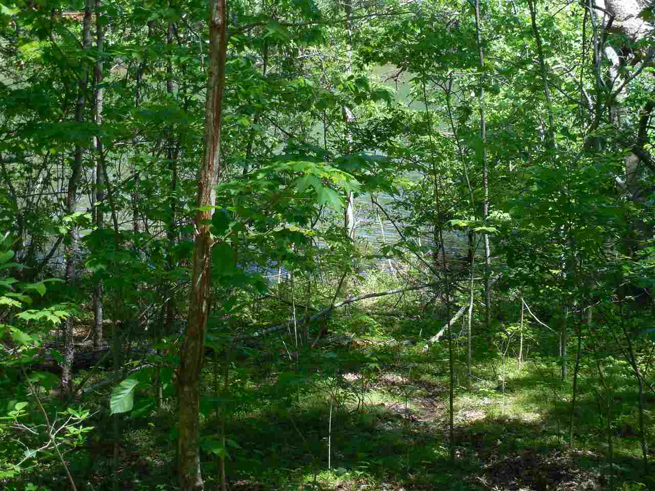 753Merganser Bay Dr, Mountain Rest, SC 29664