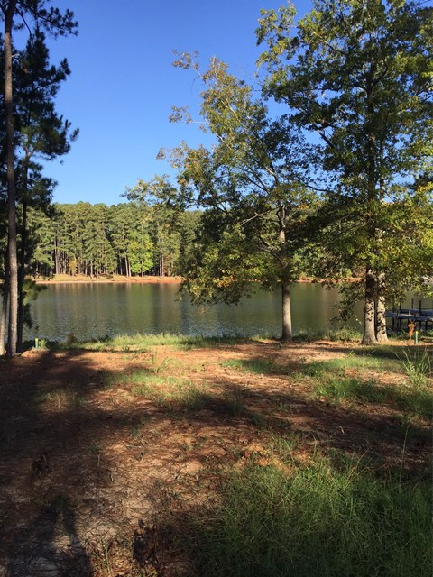 155 Polo Ct., Ninety Six, SC 29666