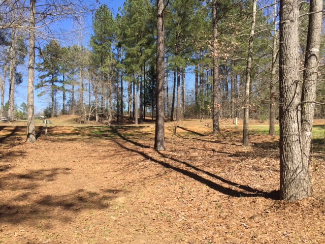 245 Arsenal Drive, Ninety Six, SC 29666