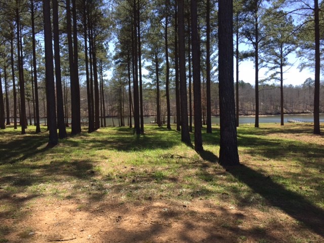 245 Arsenal Drive, Ninety Six, SC 29666