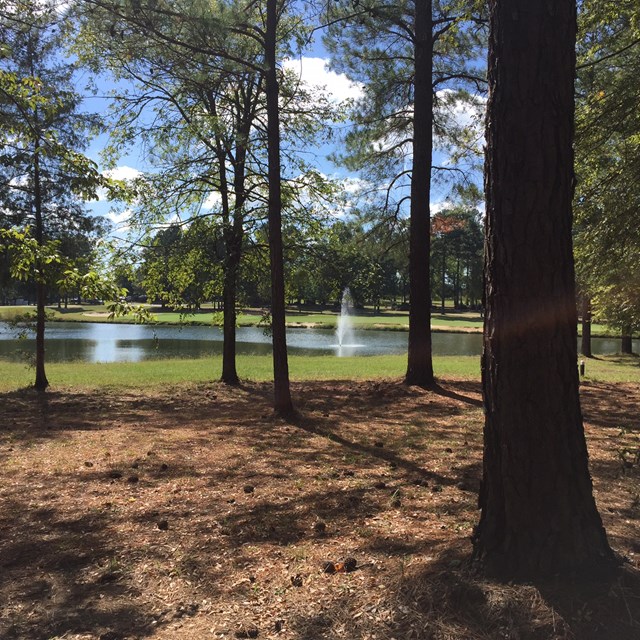 115 Stagecoach Court, Ninety Six, SC 29666