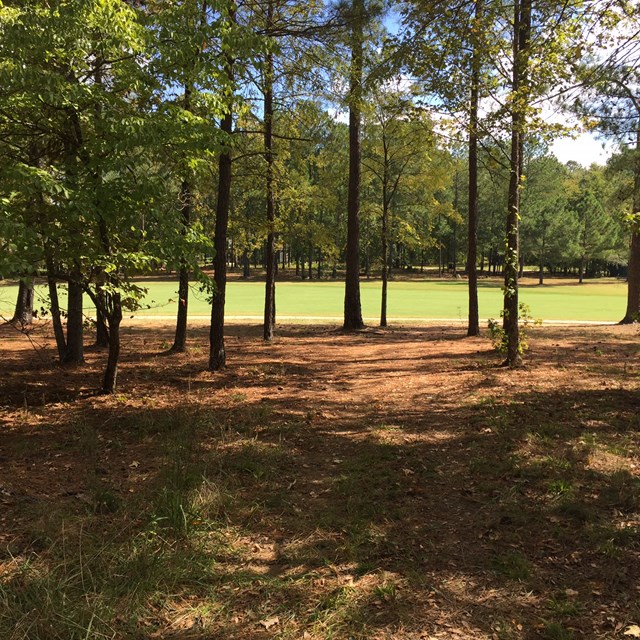 115 Stagecoach Court, Ninety Six, SC 29666