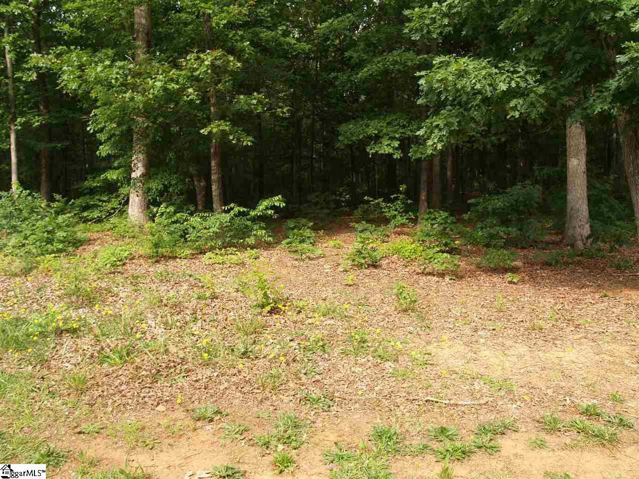 115 Constitution Avenue, Pendleton, SC 29670