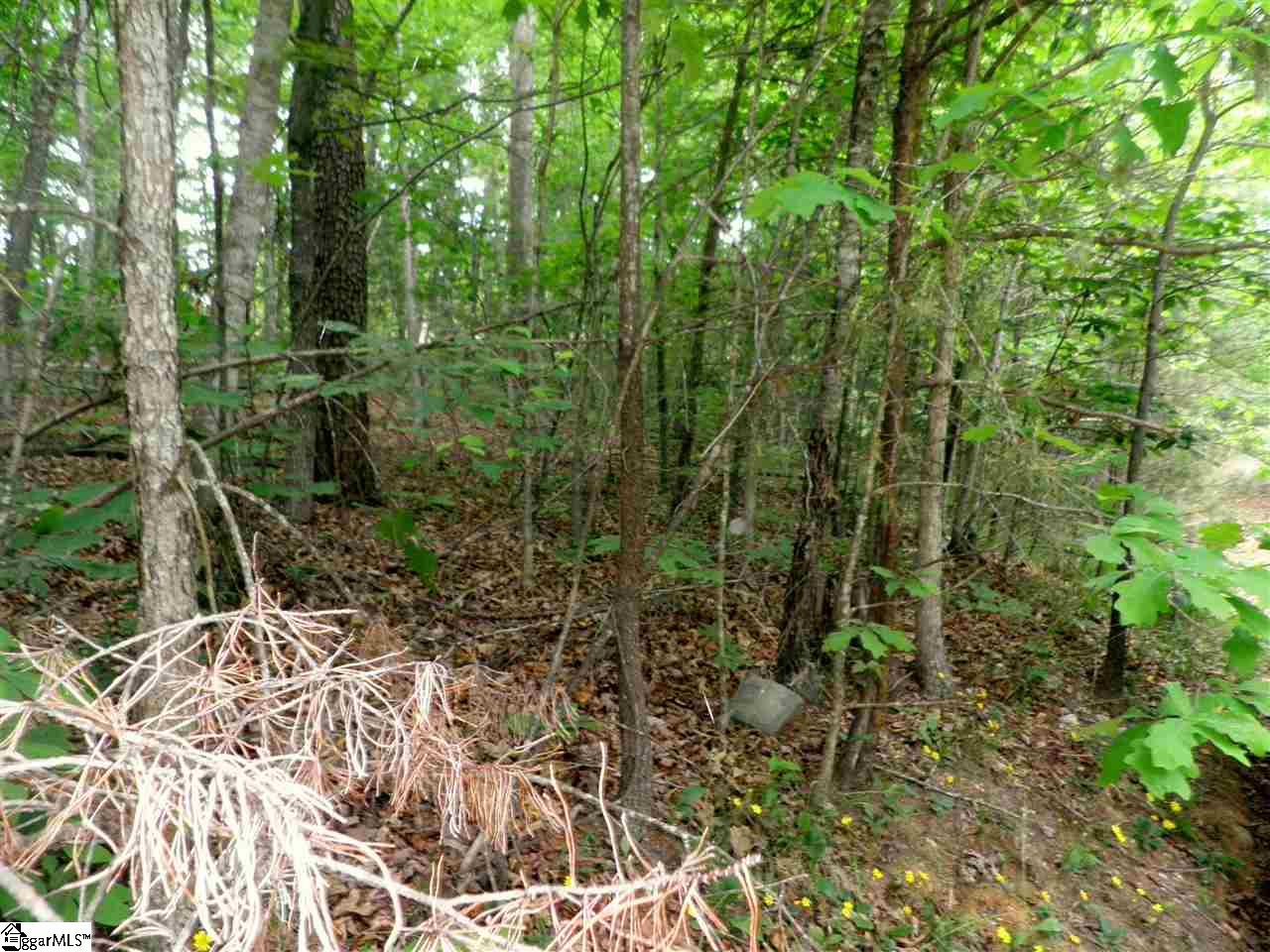 132 Sunny Court, Pickens, SC 29671