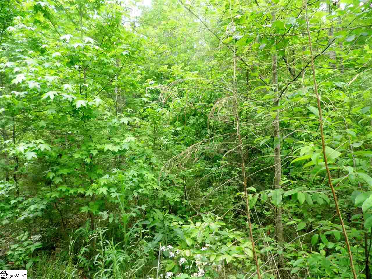 132 Sunny Court, Pickens, SC 29671
