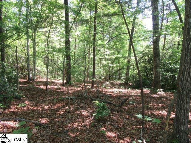 175 Cherokee Hills Drive, Pickens, SC 29671