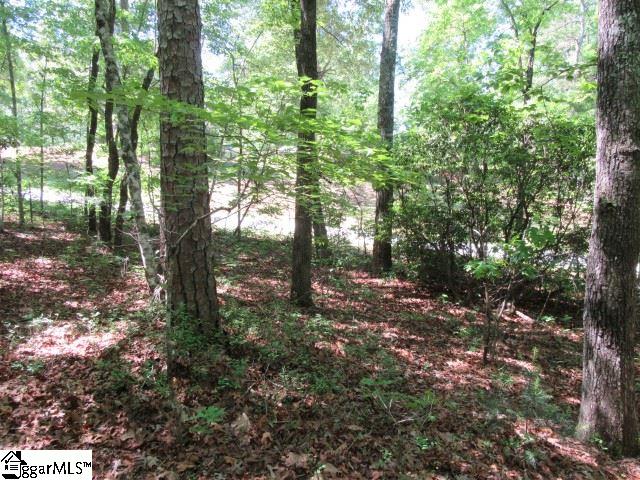 175 Cherokee Hills Drive, Pickens, SC 29671
