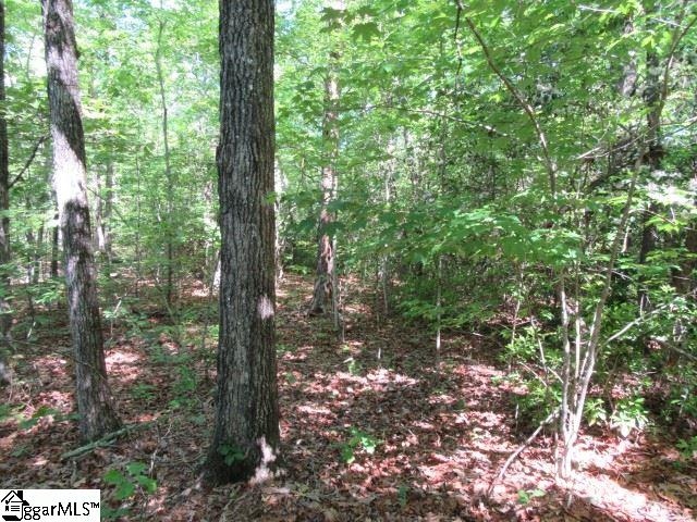 175 Cherokee Hills Drive, Pickens, SC 29671