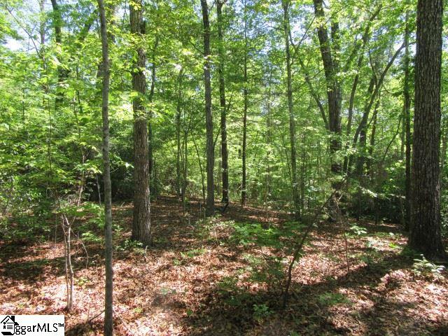 175 Cherokee Hills Drive, Pickens, SC 29671