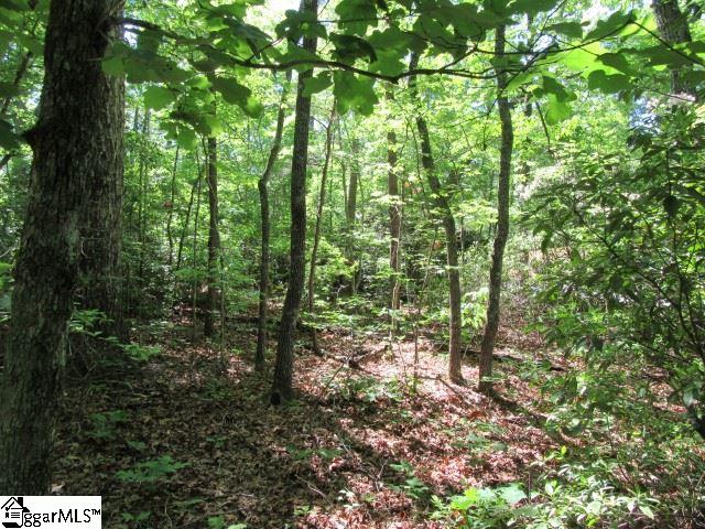 175 Cherokee Hills Drive, Pickens, SC 29671