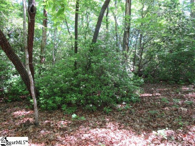 175 Cherokee Hills Drive, Pickens, SC 29671