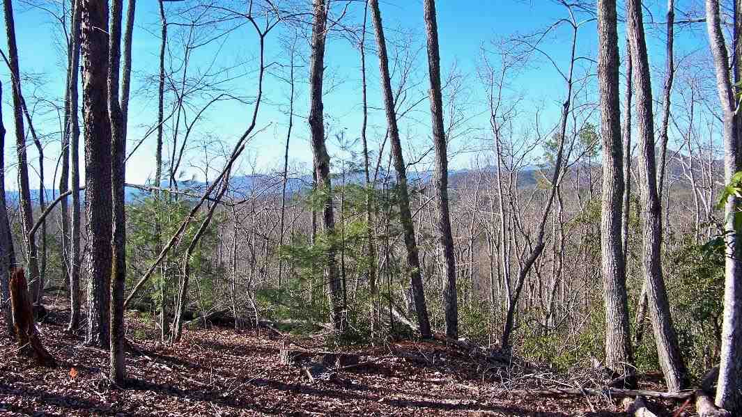 110Cliffside Trail, Pickens, SC 29671