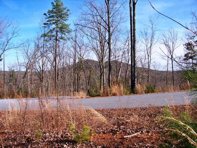 110Cliffside Trail, Pickens, SC 29671