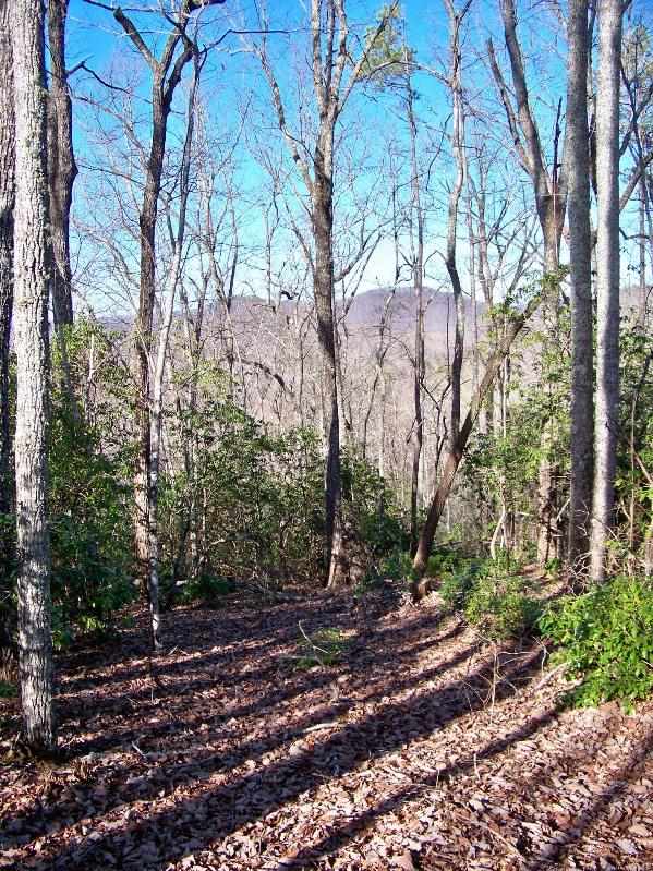 110Cliffside Trail, Pickens, SC 29671