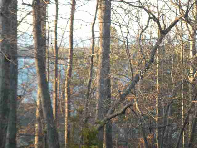 416Woodridge Drive, Seneca, SC 29672