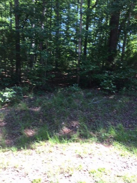 Lot 50Kokomo Way, Seneca, SC 29672