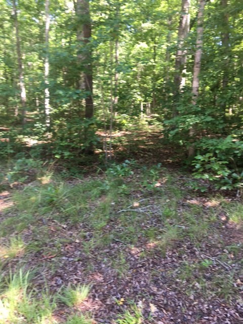 Lot 50Kokomo Way, Seneca, SC 29672