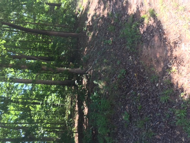 Lot 50Kokomo Way, Seneca, SC 29672