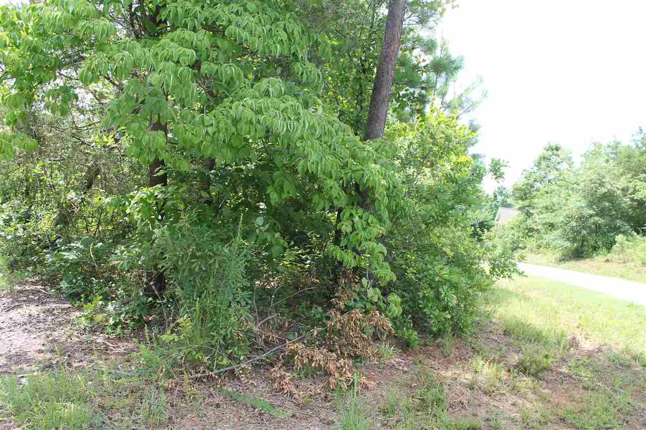 Lot 20Pine Ridge Road, Seneca, SC 29672