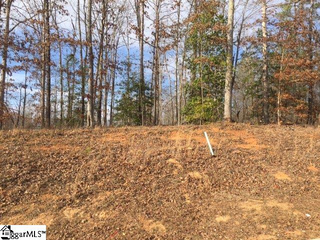 229 Saluda Run Drive, Piedmont, SC 29673
