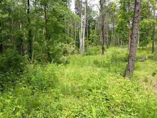 Lot 27/27AFour Pointes North, Salem, SC 29676