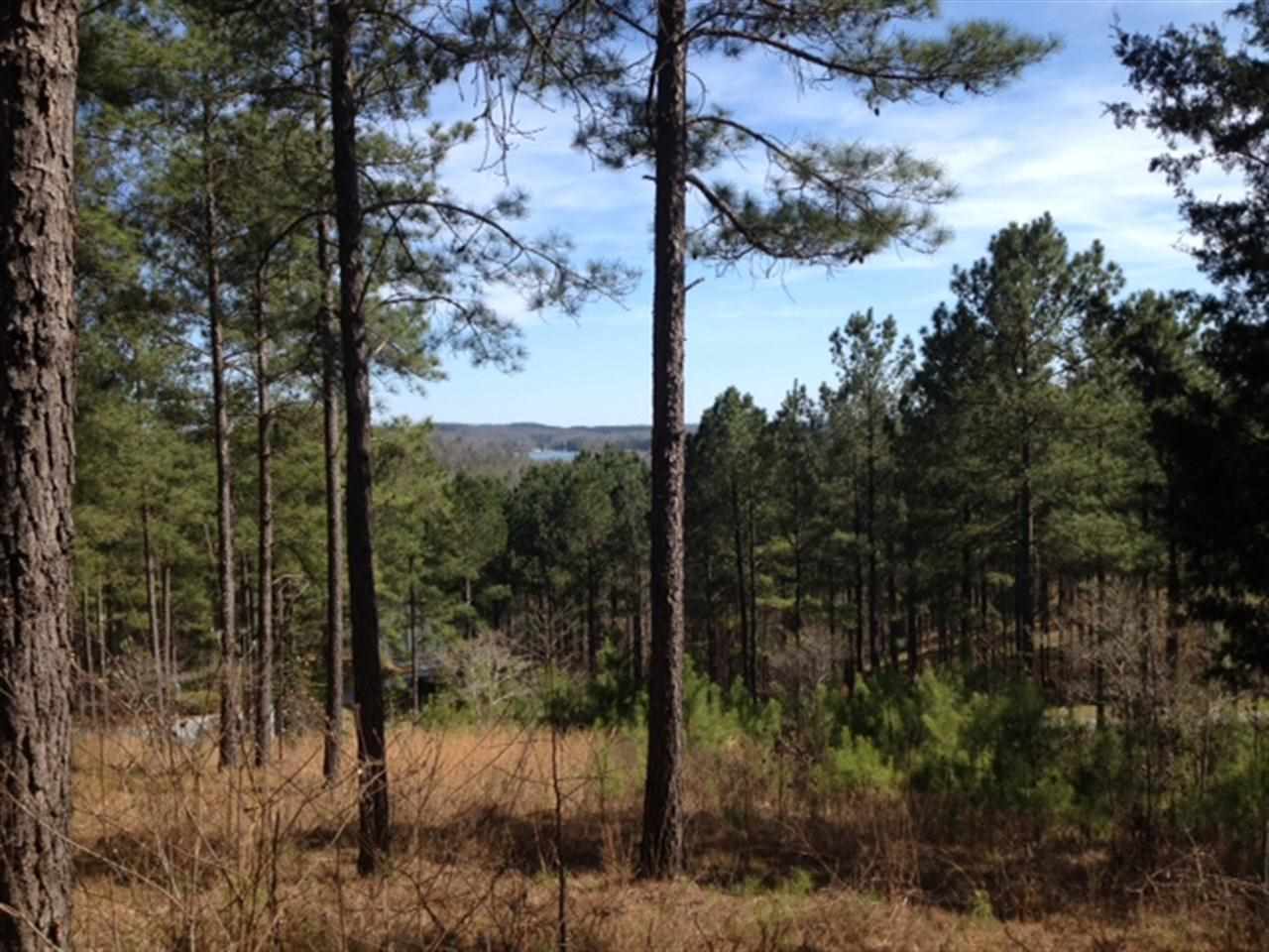 305Knollwood Drive, Salem, SC 29676