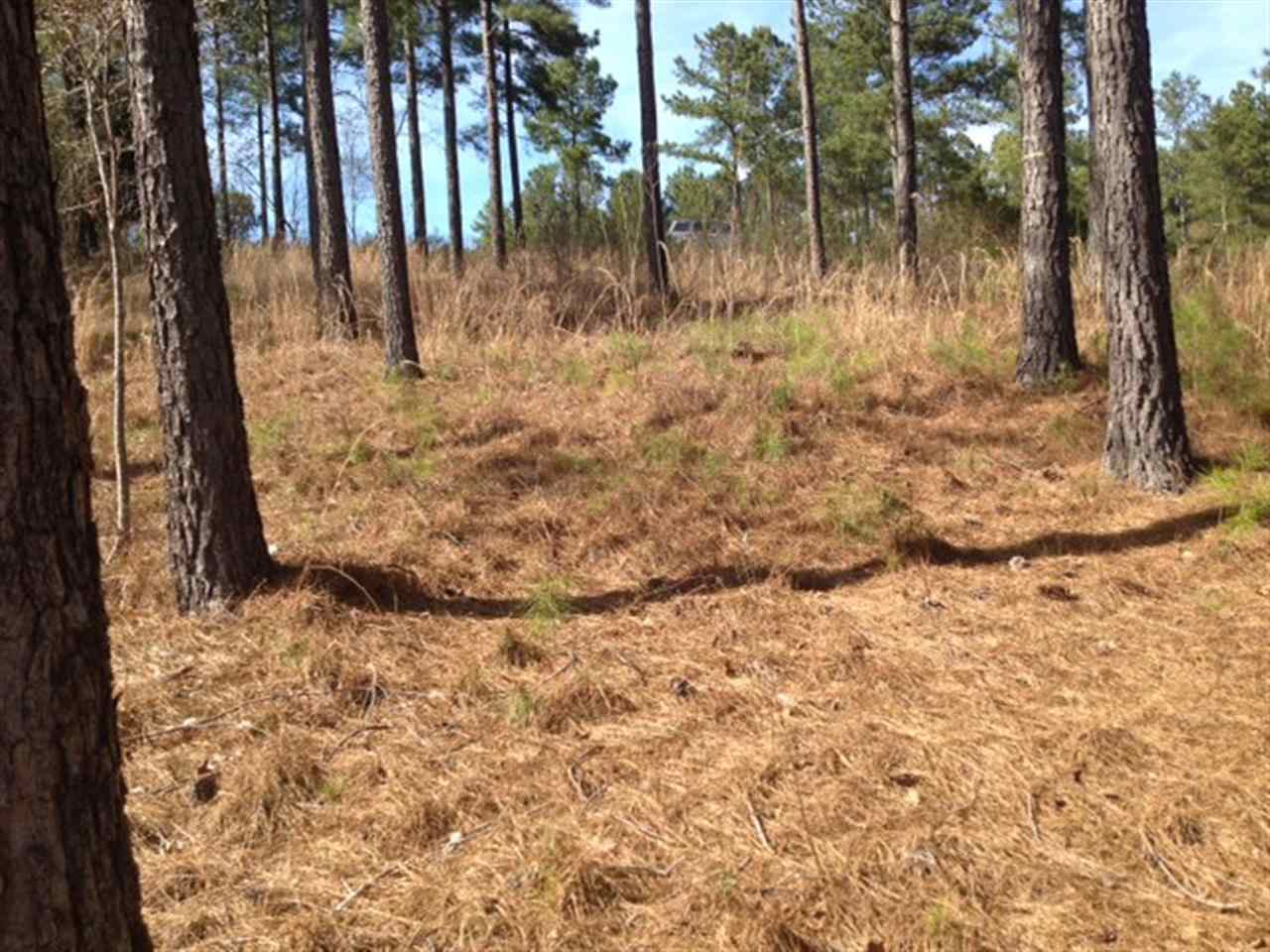 305Knollwood Drive, Salem, SC 29676
