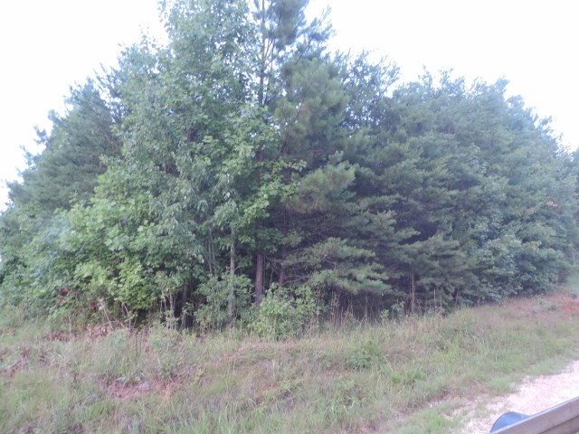 3.26 AcresSunrise Dr &amp; Rocky Ridge Road, Salem, SC 29676
