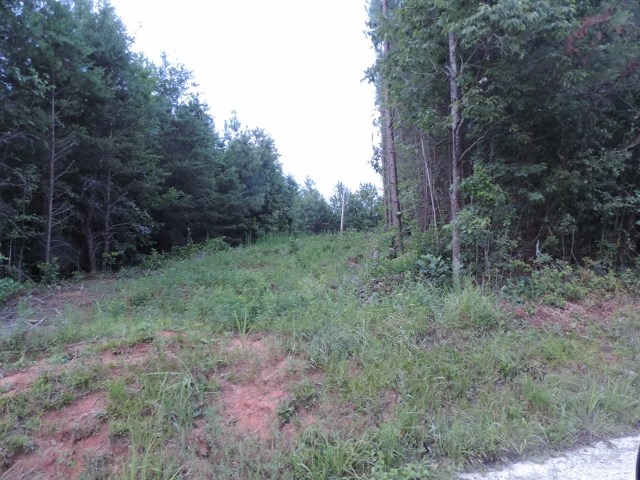 3.26 AcresSunrise Dr & Rocky Ridge Road, Salem, SC 29676