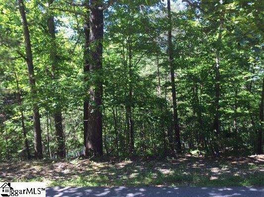 21 Iron Clad Drive, Salem, SC 29676