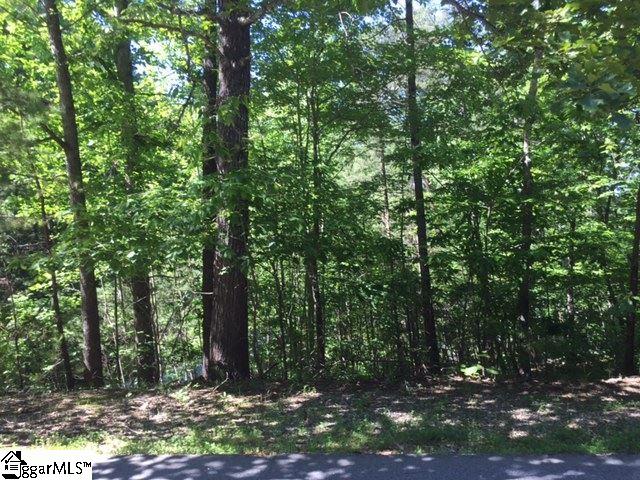 21 Iron Clad Drive, Salem, SC 29676
