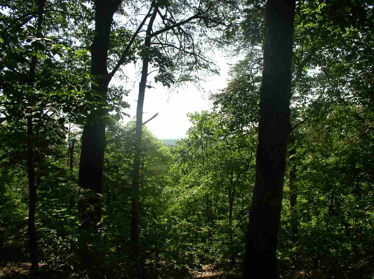 lot s-55Stone Terrace Way, Salem, SC 29676