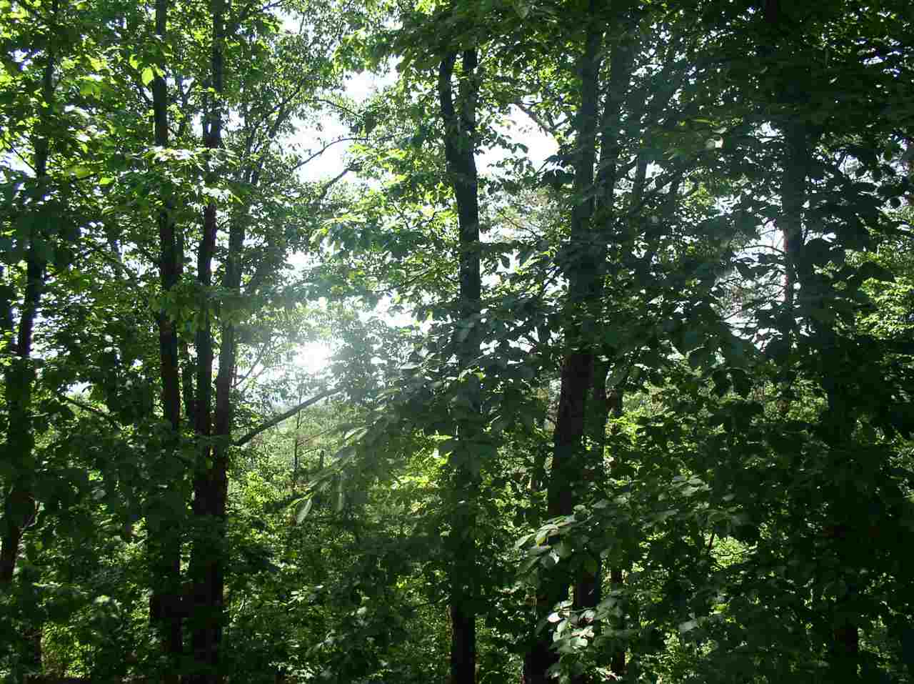 lot s-55Stone Terrace Way, Salem, SC 29676
