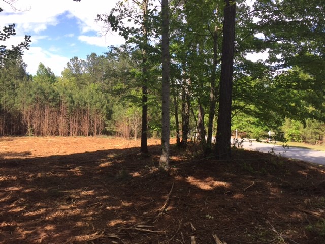 621Pine Harbor Way, Salem, SC 29676