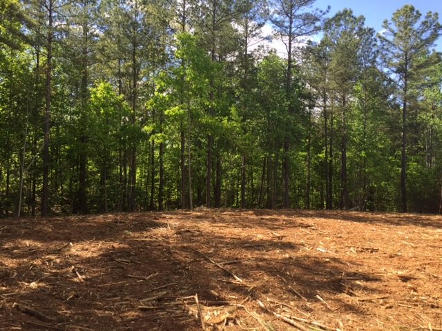 621Pine Harbor Way, Salem, SC 29676