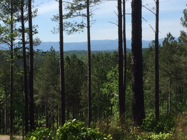 Lot 55Highland Ridge Road, Salem, SC 29676