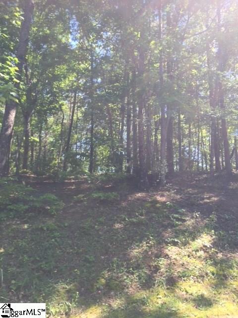 22 Iron Clad Drive, Salem, SC 29676